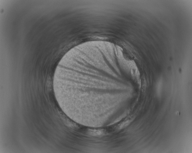 X0000081410469200702092113