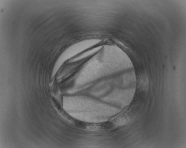 X0000081410470200702092113