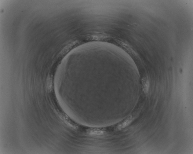 X0000081410471200702092113