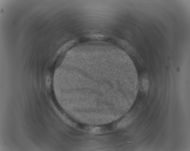 X0000081410472200702092113