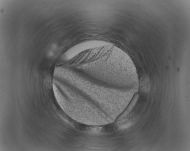 X0000081410474200702092113