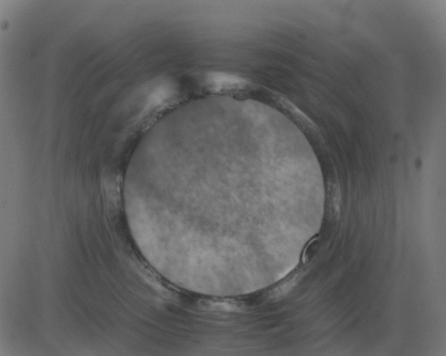 X0000081410475200702092113