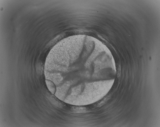 X0000081410476200702092113