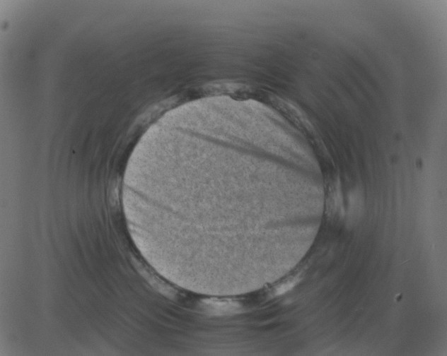 X0000081410477200702092113