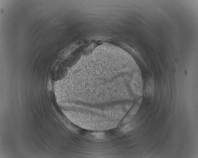 X0000081410478200702092113