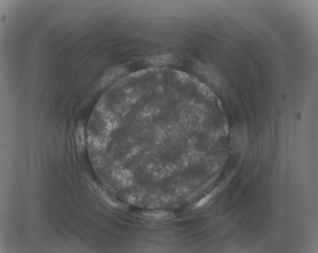 X0000081410479200702092113