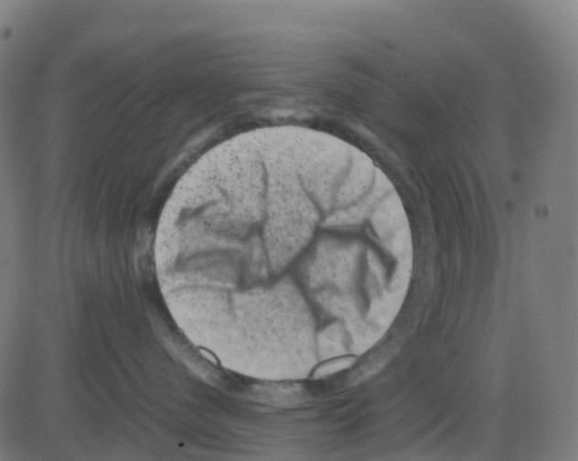 X0000081410480200702092113