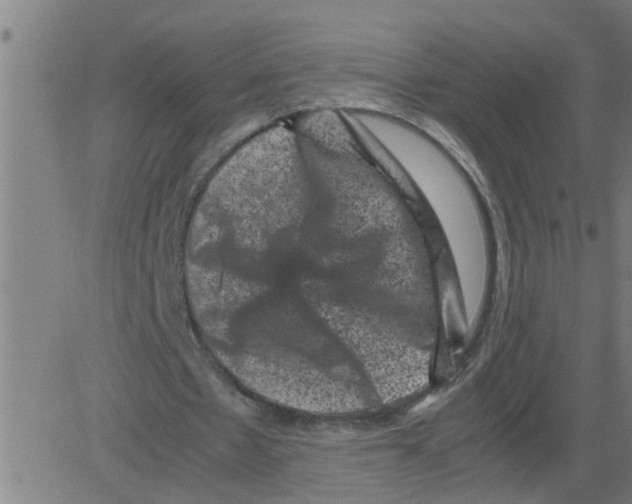 X0000081410481200702092112