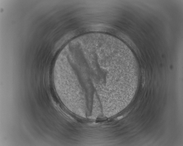 X0000081410482200702092112