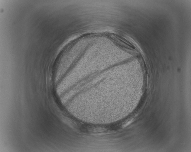 X0000081410483200702092112