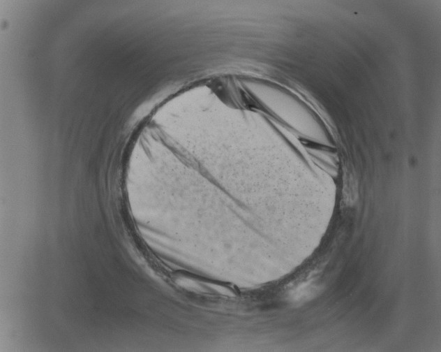 X0000081410485200702092112