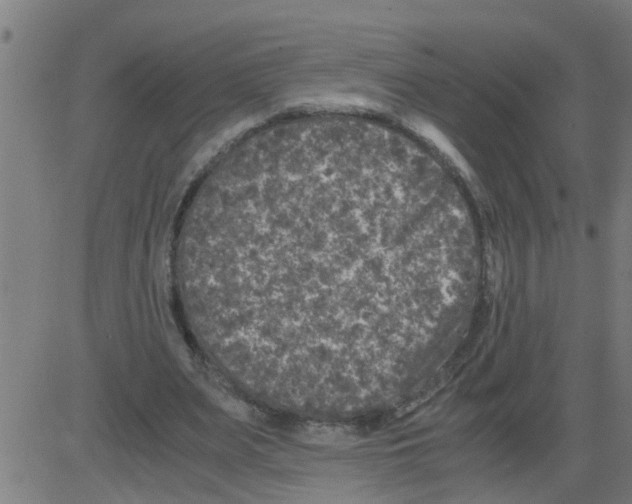 X0000081410487200702092112