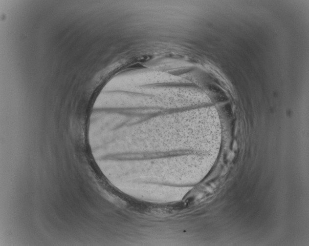 X0000081410489200702092112