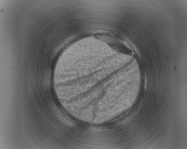 X0000081410490200702092112