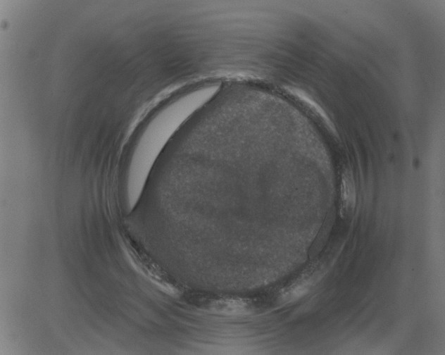 X0000081410492200702092112