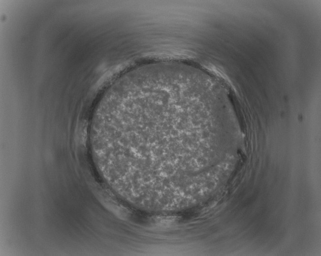 X0000081410495200702092112