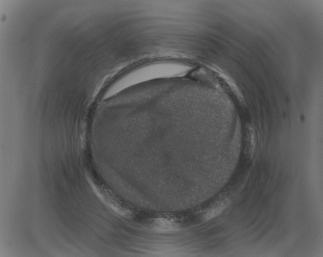 X0000081410496200702092112