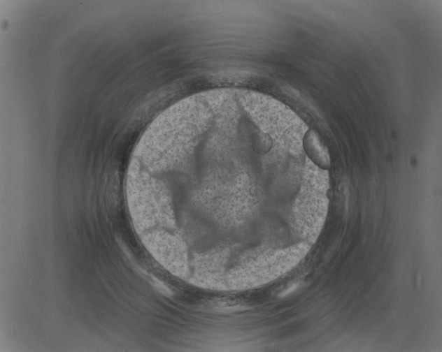 X0000081410498200702092112