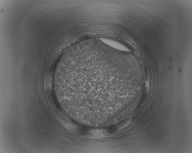 X0000081410499200702092112