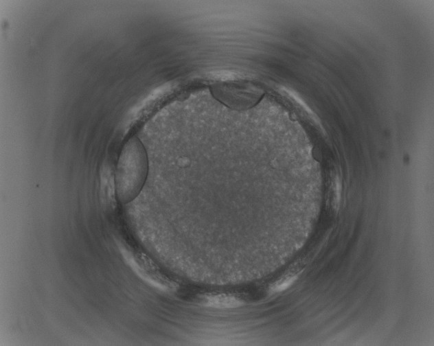 X0000081410500200702092112