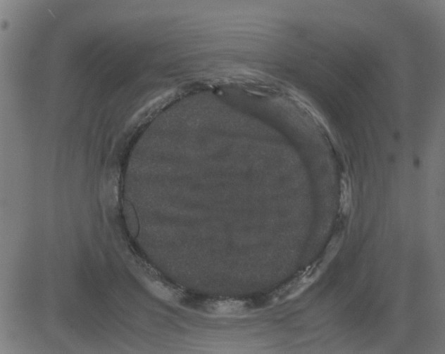 X0000081410501200702092112