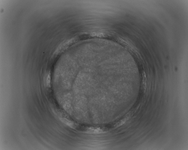 X0000081410502200702092112