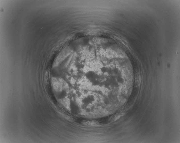 X0000081410503200702092112