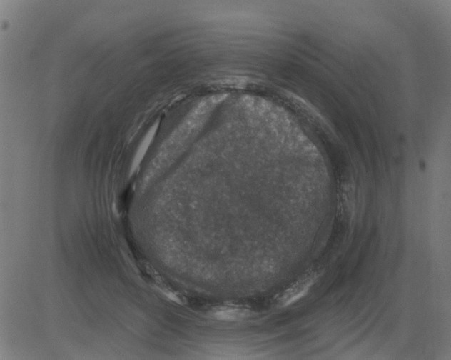 X0000081410504200702092112