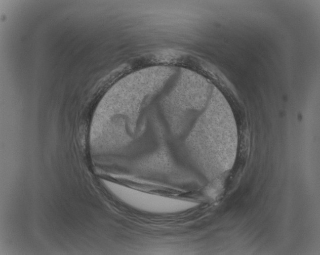 X0000081410505200702092112