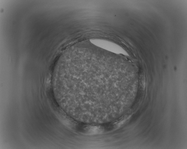 X0000081410507200702092112