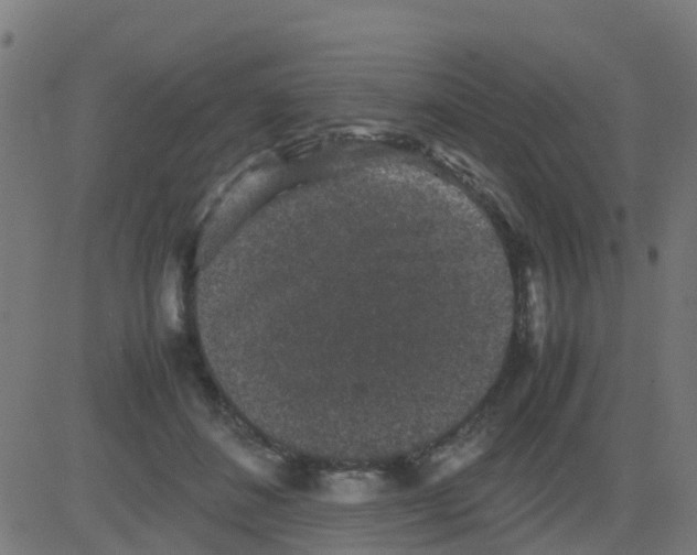 X0000081410508200702092112