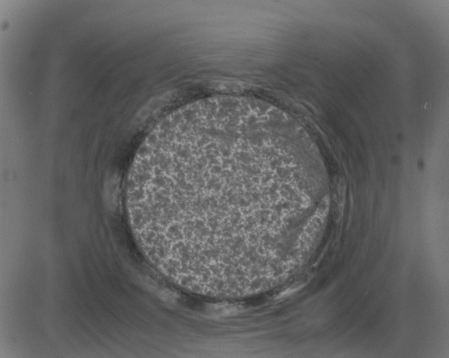 X0000081410511200702092112