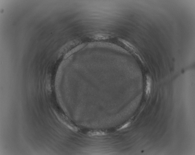 X0000081410512200702092112