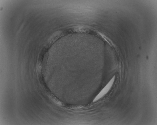 X0000081410513200702092112