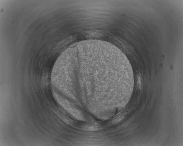 X0000081410514200702092112