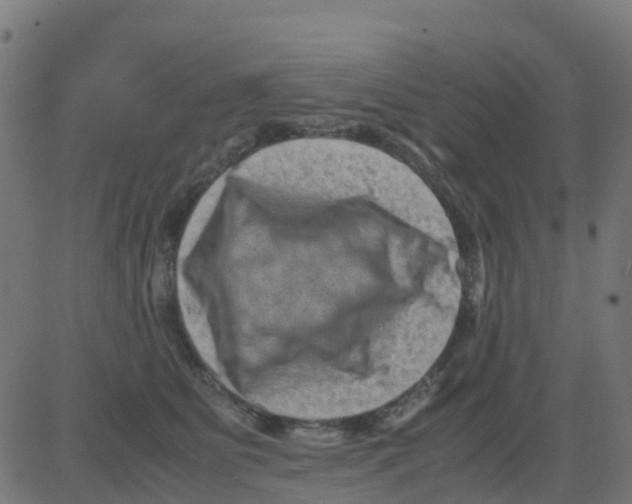 X0000081410515200702092112