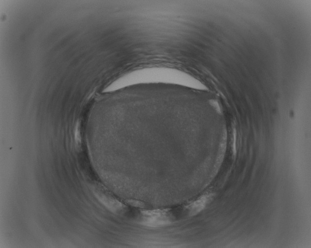 X0000081410516200702092112