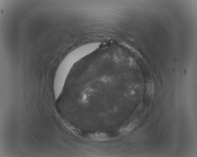 X0000081410517200702092112