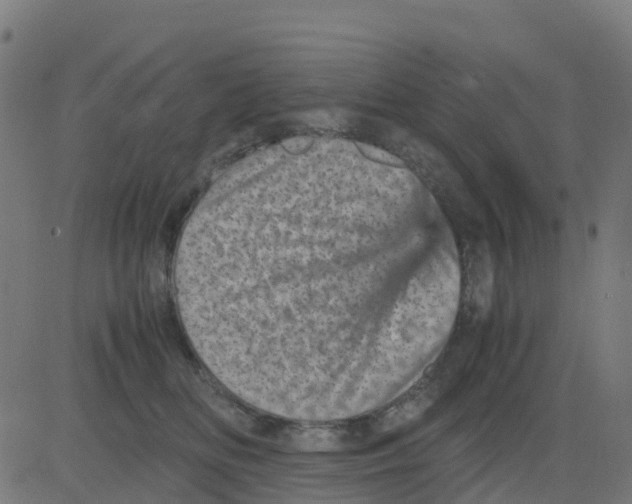 X0000081410518200702092112