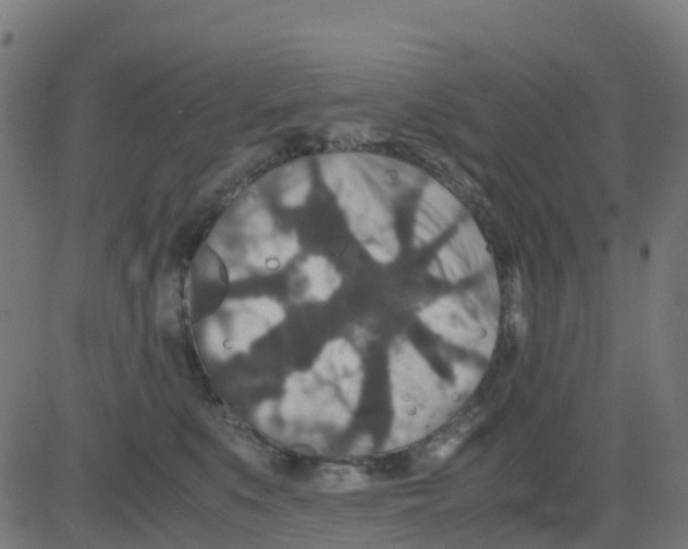 X0000081410519200702092112