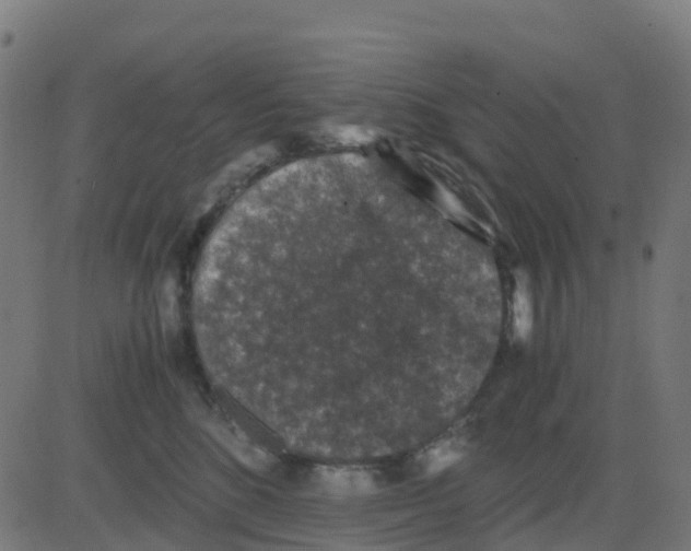 X0000081410520200702092112