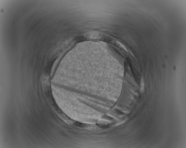 X0000081410521200702092112