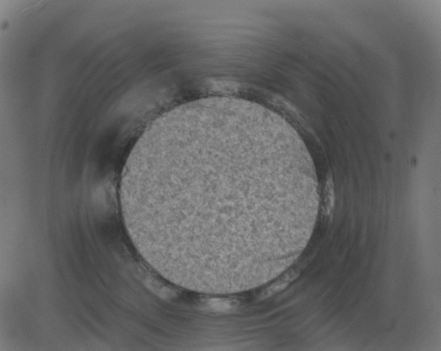 X0000081410522200702092112