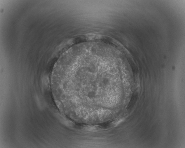 X0000081410523200702092112