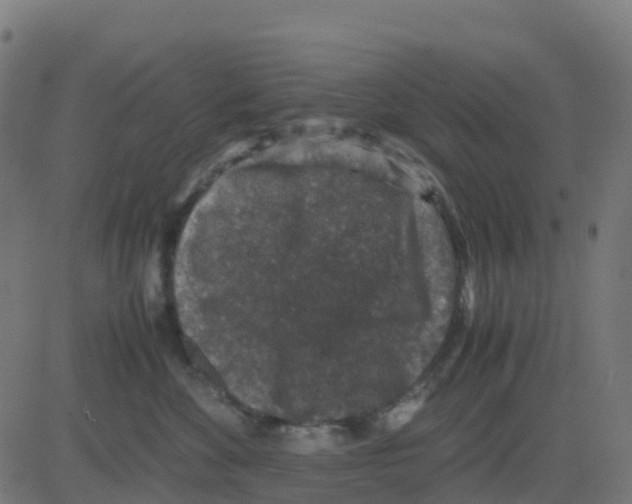 X0000081410524200702092112