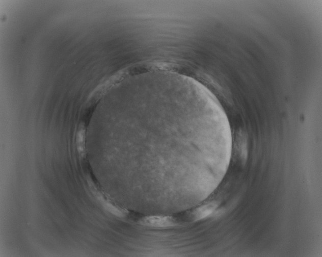 X0000081410526200702092112