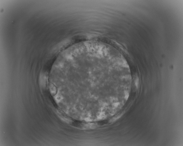 X0000081410527200702092112