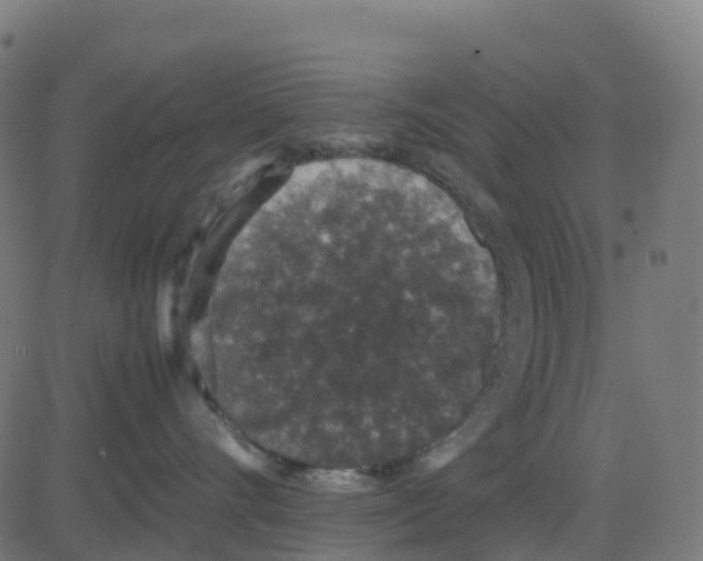 X0000081410528200702092112