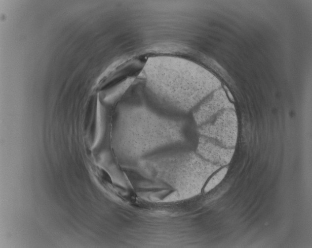 X0000081410530200702092111