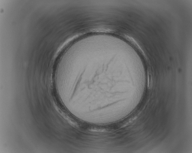 X0000081410531200702092111